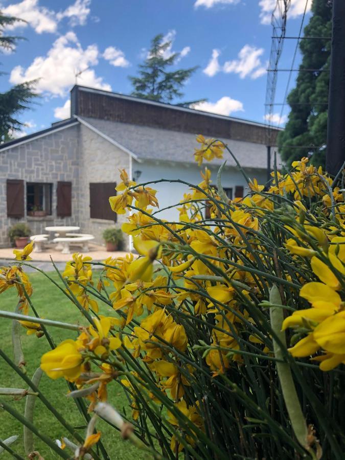 Villa Aurelia - Casa De Campo Con Jardin Y Piscina Entre Madrid Y Segovia Ortigosa del Monte Luaran gambar